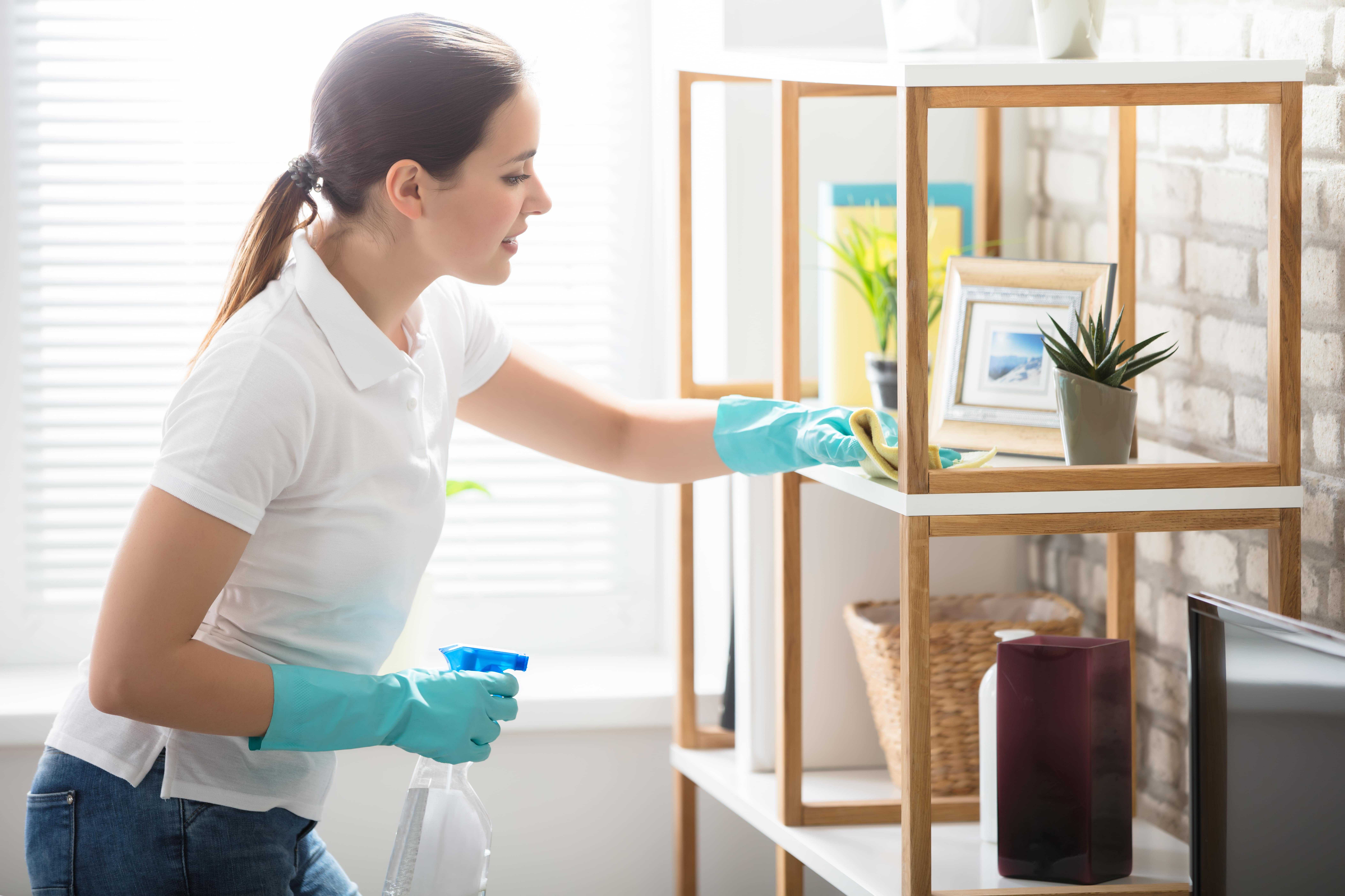 Want to Know How to Clean Your House Fast?