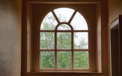 Kärcher WV50 Window Vac