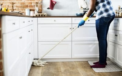 Bissell 1806 PowerFresh Deluxe Steam Mop