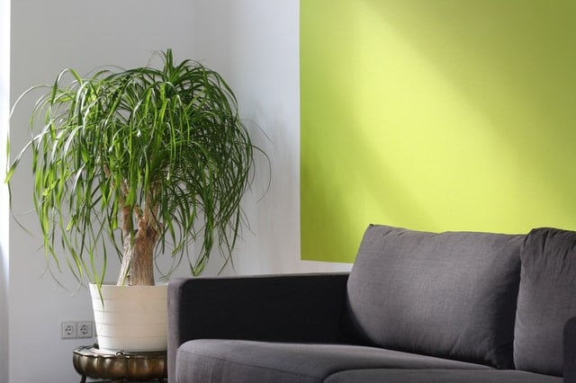 Electrolux UltraSilencer Green Canister Vacuum Cleaner Review